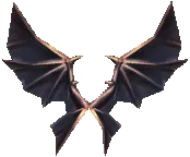 Wings of Dragon